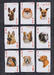 Playing cards Country delicacies